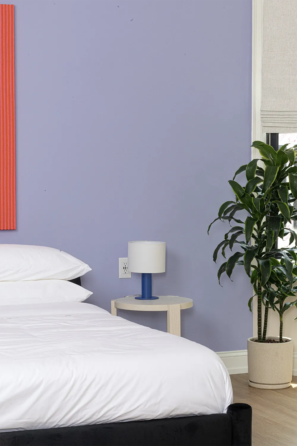 Corner of a purple room with a black bed with white bedding, a wood nightstand and a night lamp, next to a tall plant by the window