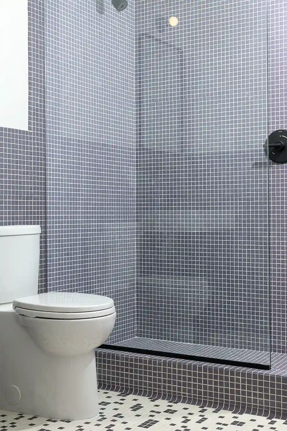 Bathroom shower with dark blue tiles next to a white toilet