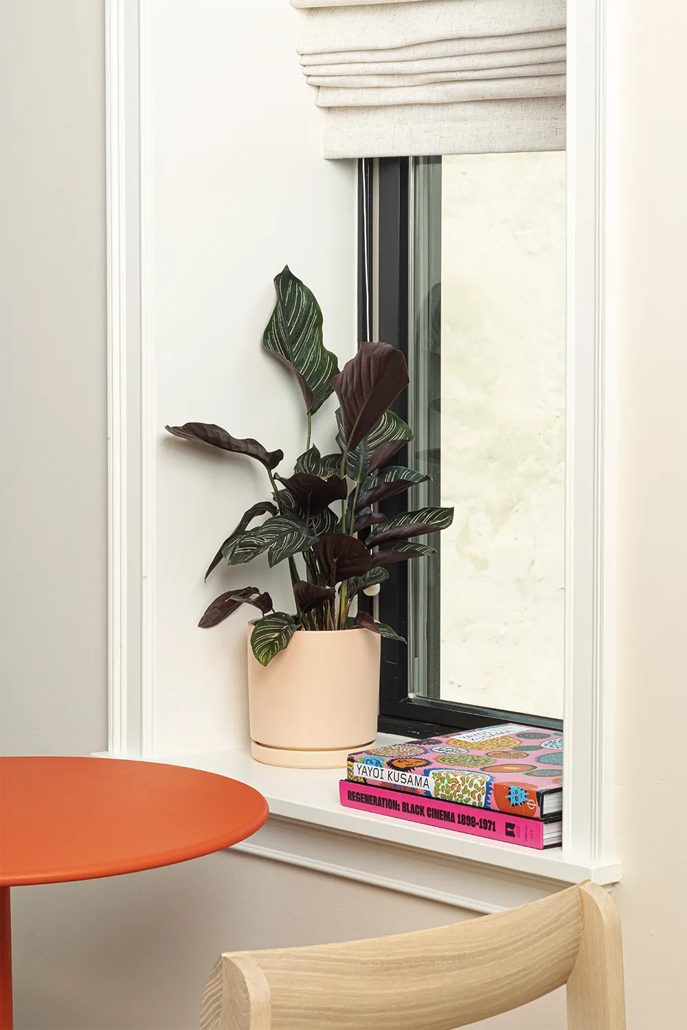 Window frame with a green and purple plant on a flowerpot and 2 art books